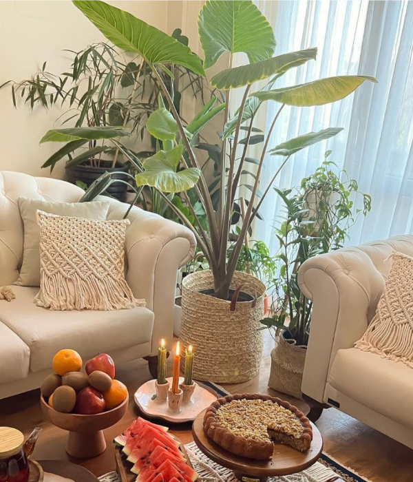 سرسبزی و طراوت در گوشه‌گوشه خانه