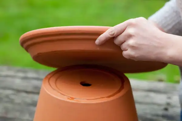 نصب گلدان‌های سفالی یا پلاستیکی و پر کردن آن‌ها با آب