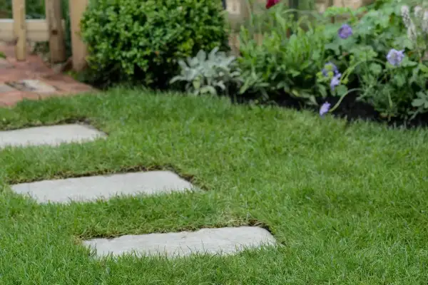 گذاشتن سنگ در چمن حیاط خانه