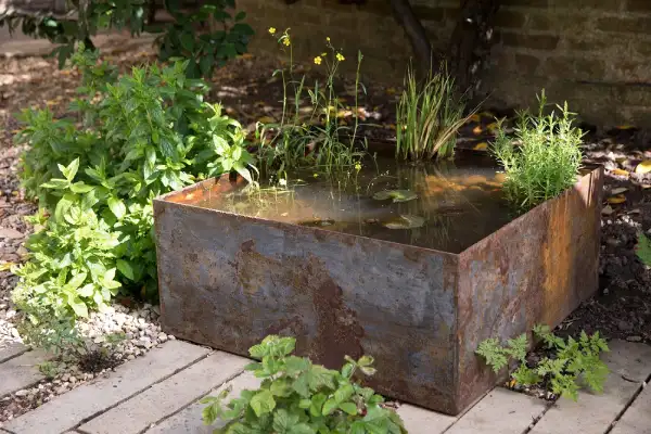 یک فواره یا حوض کوچک در حیاط نصب کنید