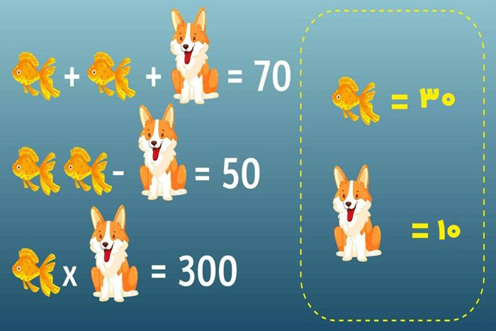 جواب معمای ریاضی ماهی و سگ
