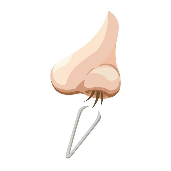 معنی اصطلاح و ضرب المثل موی دماغ شدن چیست؟