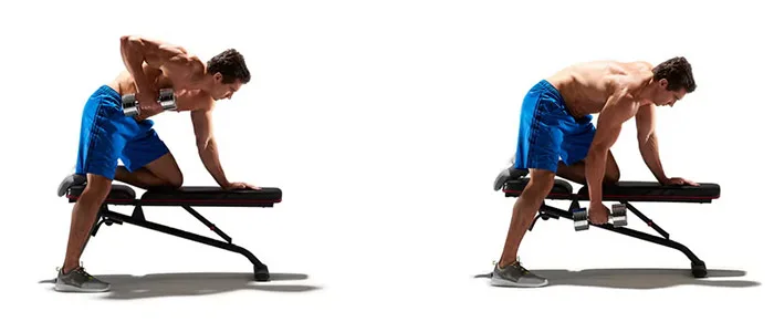 21 حرکت برای تقویت عضلات پشت و کمر 50 حرکت برای تقویت عضلات پشت و کمر,زیر بغل تک دمبل خم