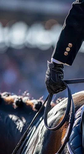 بهترین راهنمای خرید دستکش سوارکاری - نکات ضروری و قیمتها 8 نکات کاربردی در خرید دست کش سوارکاری