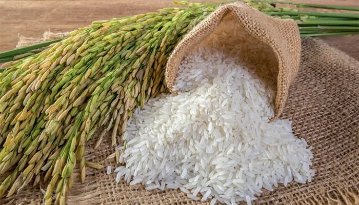 مصرف برنج در بدنسازی
