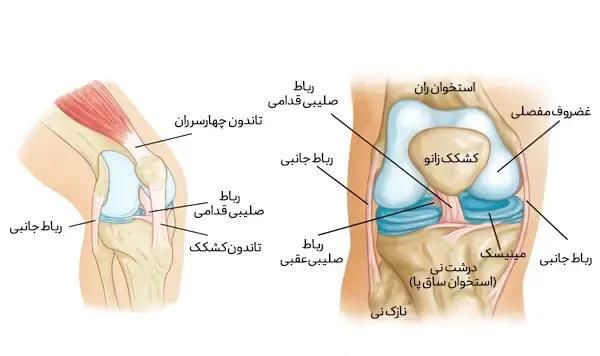 شایع‌ترین آسیب‌های زانو در ورزش فوتبال چیست؟